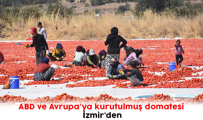 ABD ve Avrupa'ya kurutulmuş domatesi İzmir'den