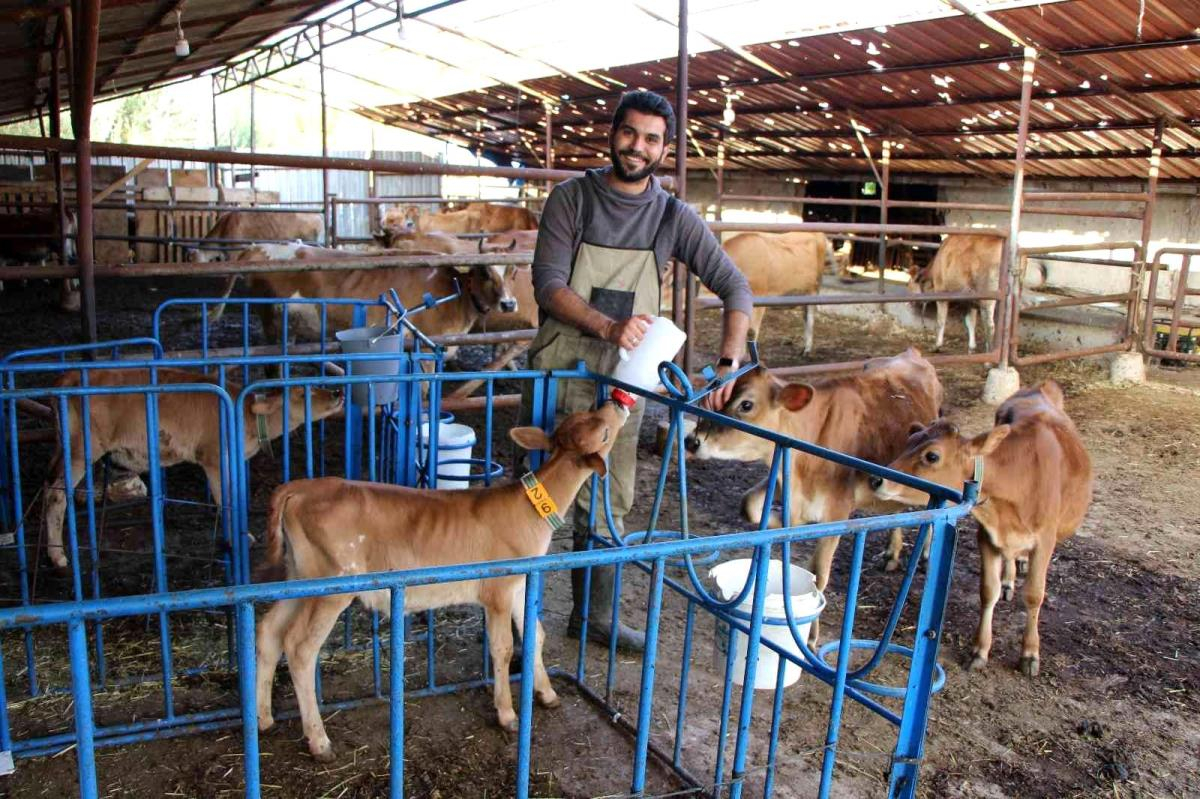 Üniversiteyi bitirip köyünde süt çiftliği kurdu
